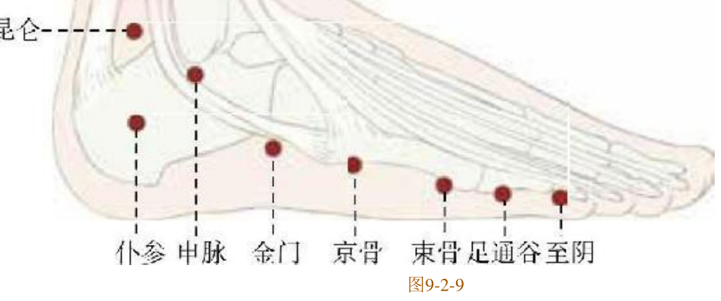 常見病癥及穴位插圖7