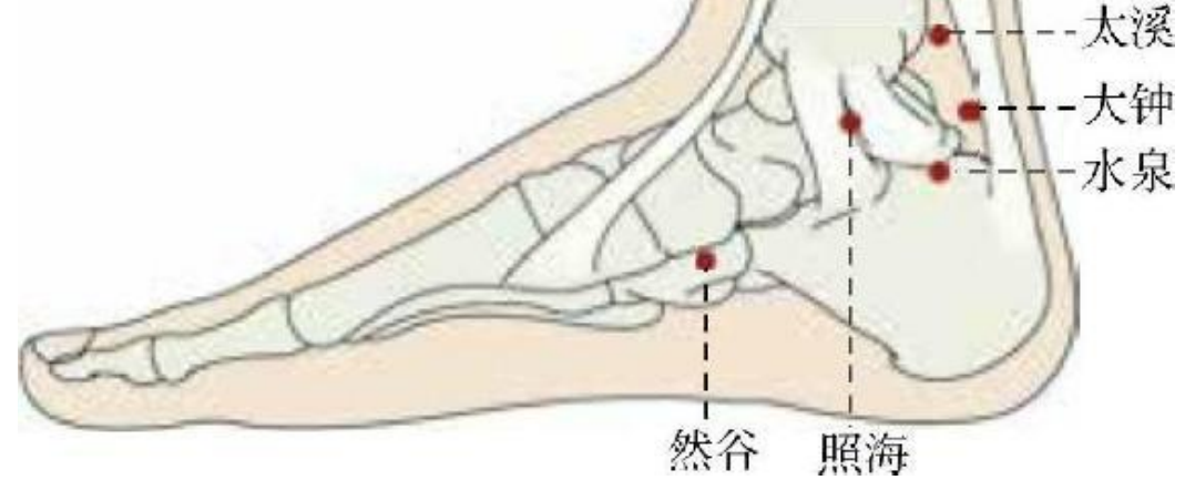 常見病癥及穴位插圖8