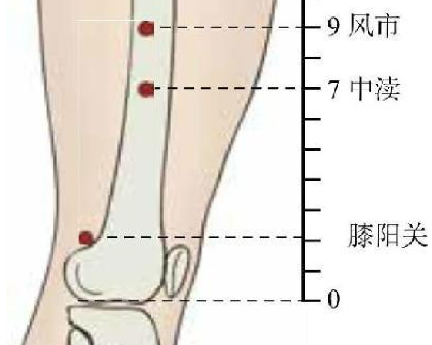 常見病癥及穴位插圖9