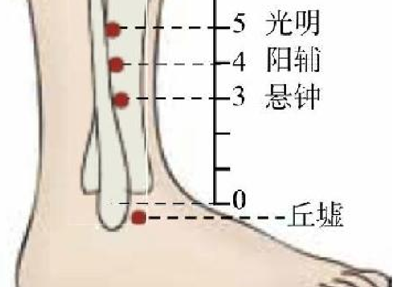 常見病癥及穴位插圖10