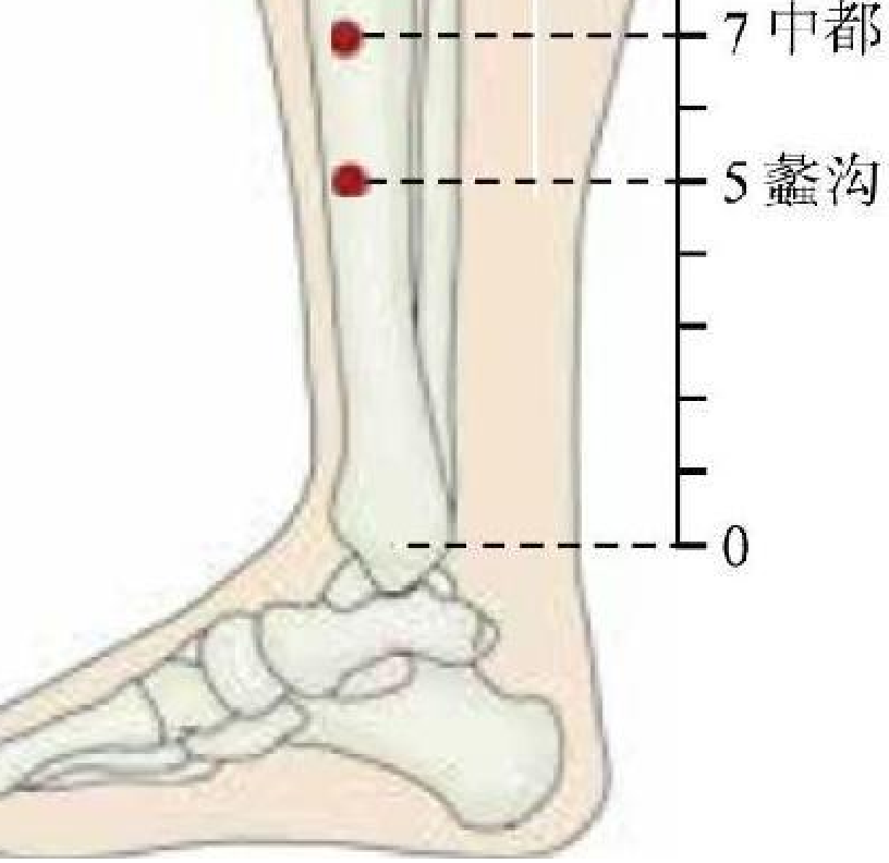 常見病癥及穴位插圖11